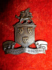 M116 - Wentworth Regiment Bronze Officer's Left Collar Badge 